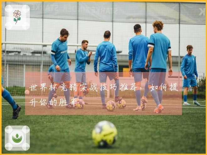 世界杯竞猜实战技巧推荐，如何提升你的胜率
