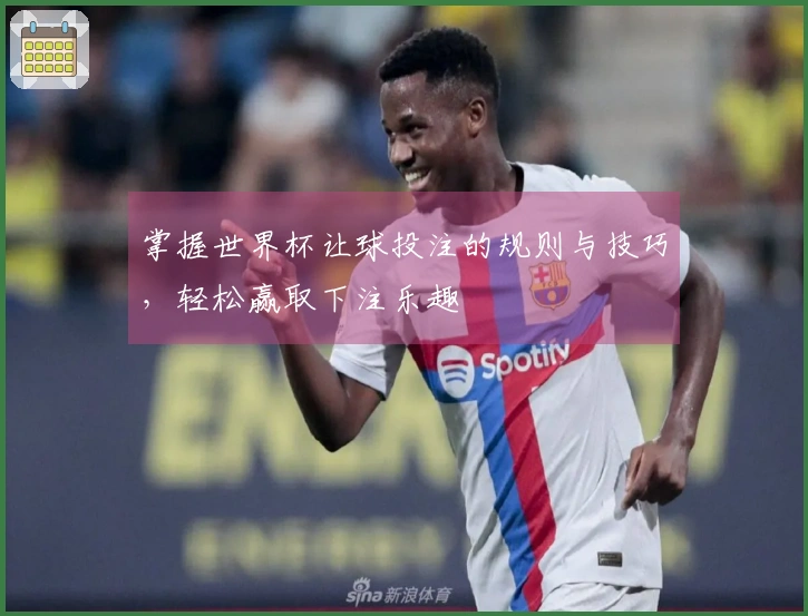 掌握世界杯让球投注的规则与技巧，轻松赢取下注乐趣