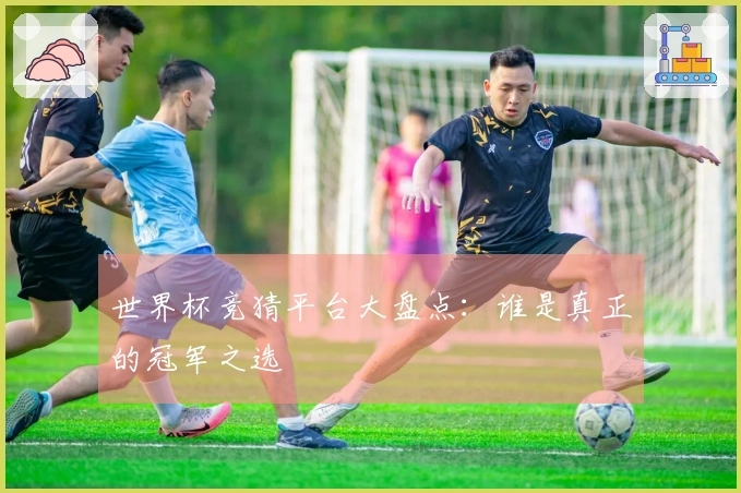世界杯竞猜平台大盘点：谁是真正的冠军之选