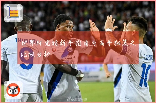 世界杯竞猜新手指南与高手秘笈之比较分析