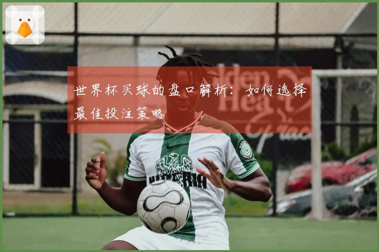世界杯买球的盘口解析：如何选择最佳投注策略