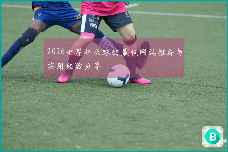 2026世界杯买球的最佳网站推荐与实用经验分享